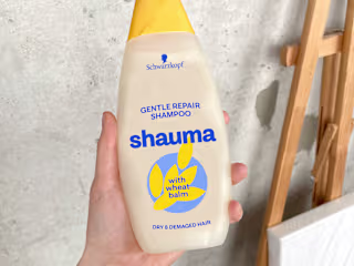 Shauma Redesign