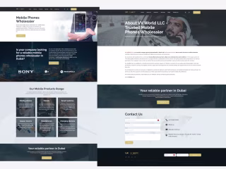 Building Trust: VV World's Web Design Story