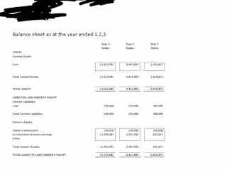 Financial Projection