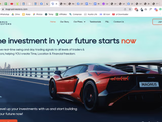 Magnus Investors