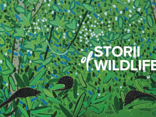 STORII OF WILDLIFE - EP.02_ “TỰ DO” 