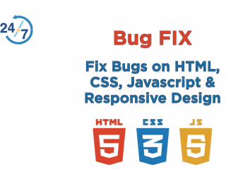 Bug Fixing on HTML CSS JavaScript Websites