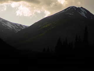 Showreel
