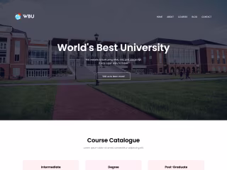 University Website