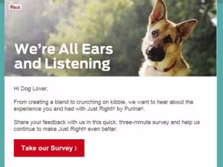 Here’s How To Get More People To Fill Out Your Email Survey