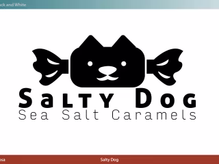 Salty Dog- Mock Brand ID
