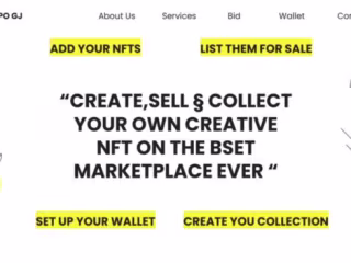I will do professional front end nft website developement