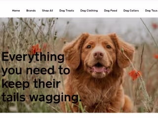 Created Website and Content