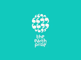 Implementing Solutions for Global Environmental Competition
