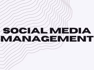 Social Media Management