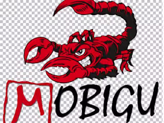 Mobigu