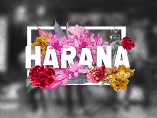 🌹 Harana | Event Branding