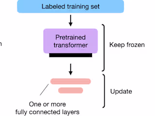 Large Language Model Fine-tuning