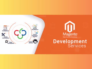 Ecommerce Solutions with Magento