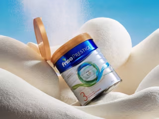 Friso Gold - Copywriter 