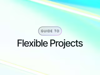 Guide to Flexible Projects