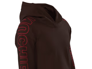 3D brown hoodie