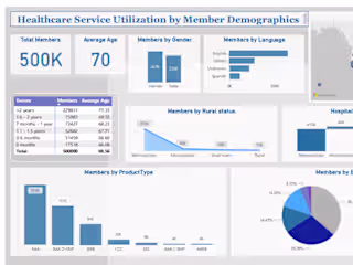 Healthcare Service Utilization by Member Demographics