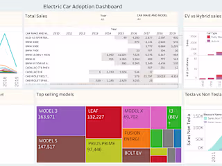 Electric Car Adoption Analysis