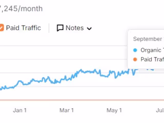 Case Study: 20X Traffic & 6X Revenue in 2 Months

