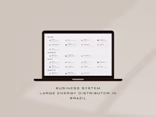 Business system - Large energy distributor in Brazil