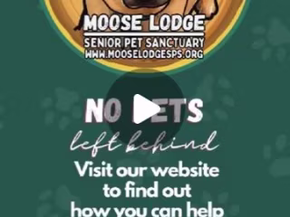Moose Lodge Senior Pet Sanctuary Reel