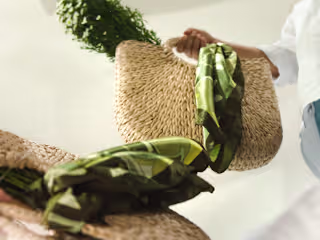 Curated Platform for Sustainability, Style, and Standards