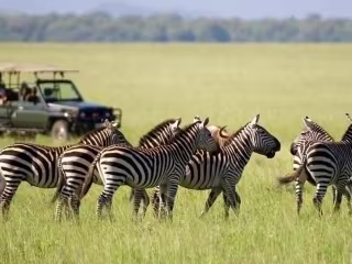 Guide to an Ethically Responsible Tanzania Safari