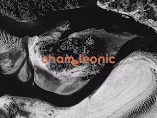 Chameleonic