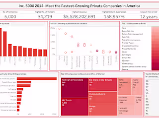 Analyzing the Growth and Revenue of Inc. 5000 2014 Companies
