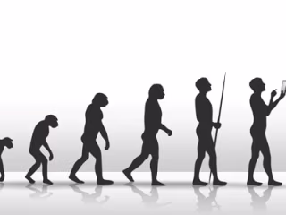 facts about human