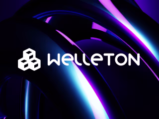 Welleton - Websites that are easily self-adjustable