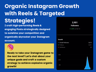 Exploding eLearning Organic Growth on Instagram (15 Days)