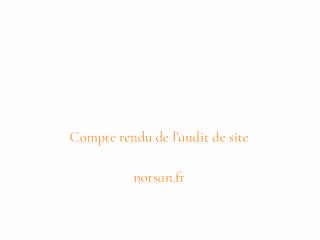 Website Audit