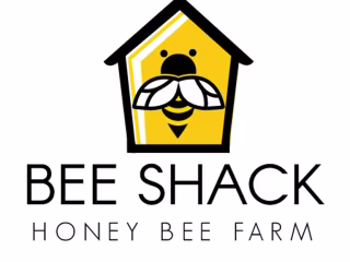 Logo Work