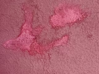 Defect Leather Detection
