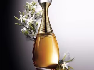 Brochure design for dior parfums on Behance
