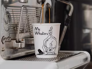 Mr. Whiskers Coffee Shop |    Brand Identity
