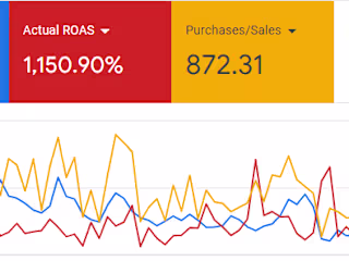Achieved 1100% Return on Advertising Spend
