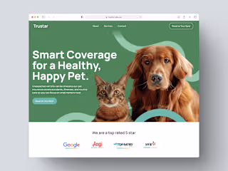 Pet Insurance Website design
