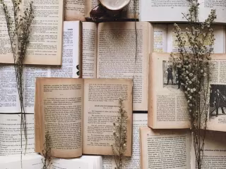 Books to add to your TBR