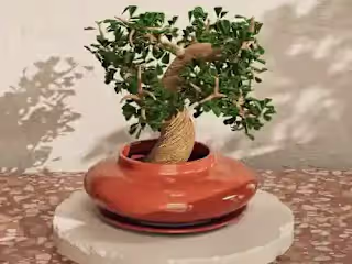 3D Bonsai