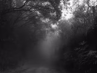 The Night We Buried Six: Poem