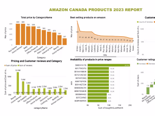 "AmazonLens: Unveiling 2023's Marketplace"