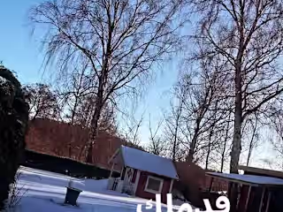 TikTok - Make Your Day