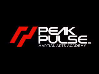 Peak Pulse Martial Arts Academy™ | Branding | Guidlines :: Beha…