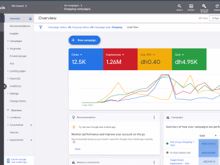 Maximizing Sales with Google Ads Campaigns