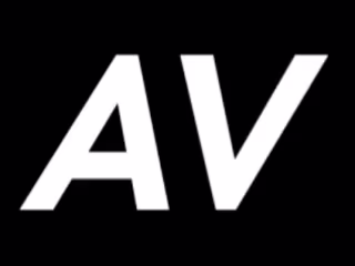 adrianveinot.com