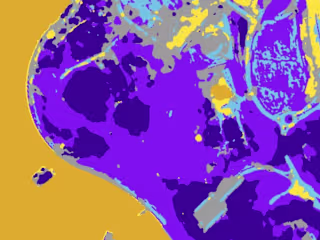 GitHub - NishantDahal/Aerial-Segmentation