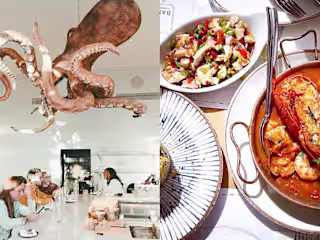 Ocean Delicacies: 10 Must-Try Restaurants For Seafood Lovers In…